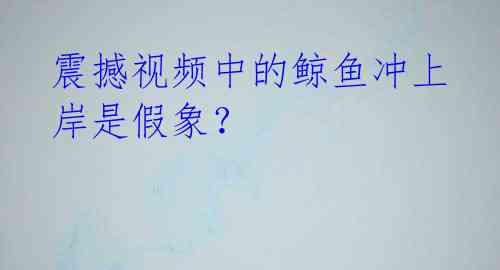 震撼视频中的鲸鱼冲上岸是假象?