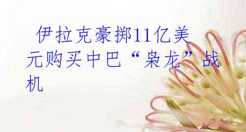 伊拉克豪掷11亿美元购买中巴“枭龙”战机