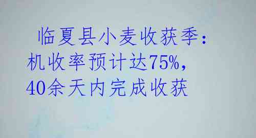  临夏县小麦收获季：机收率预计达75%，40余天内完成收获 