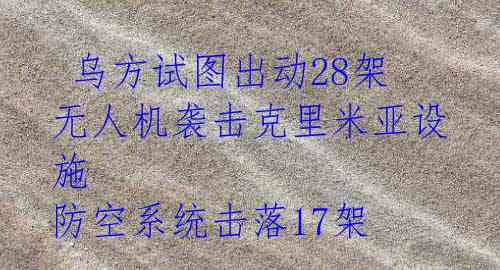 乌方试图出动28架无人机袭击克里米亚设施 防空系统击落17架