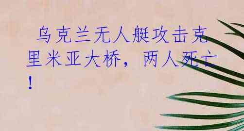 乌克兰无人艇攻击克里米亚大桥,两人死亡!