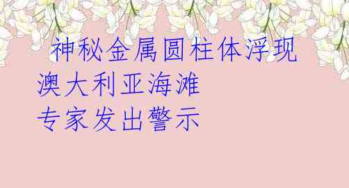 神秘金属圆柱体浮现澳大利亚海滩 专家发出警示