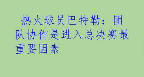  热火球员巴特勒：团队协作是进入总决赛最重要因素 