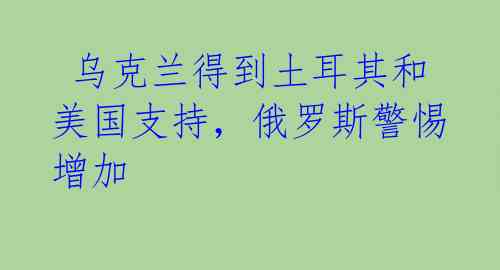 乌克兰得到土耳其和美国支持,俄罗斯警惕增加