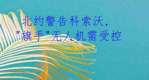 北约警告科索沃, "旗手"无人机需受控
