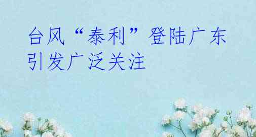 台风“泰利”登陆广东 引发广泛关注