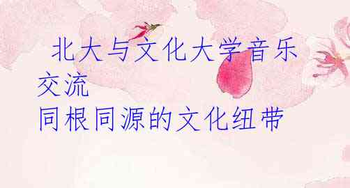 北大与文化大学音乐交流 同根同源的文化纽带