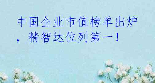 中国企业市值榜单出炉,精智达位列第一!