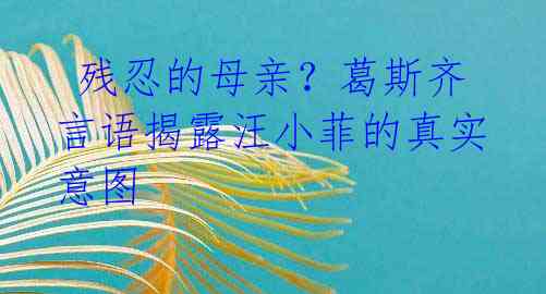  残忍的母亲？葛斯齐言语揭露汪小菲的真实意图