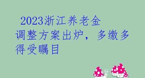  2023浙江养老金调整方案出炉，多缴多得受瞩目 