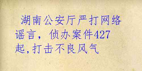  湖南公安厅严打网络谣言，侦办案件427起,打击不良风气  