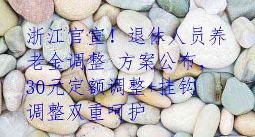 浙江官宣!退休人员养老金调整 方案公布,30元定额调整+挂钩调整双重呵护