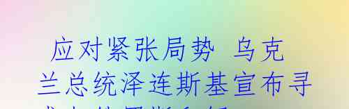 应对紧张局势 乌克兰总统泽连斯基宣布寻求与俄罗斯和解