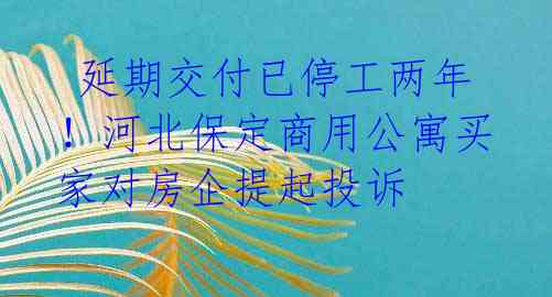 延期交付已停工两年!河北保定商用公寓买家对房企提起投诉