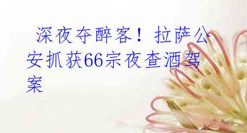 深夜夺醉客!拉萨公安抓获66宗夜查酒驾案