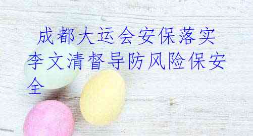 成都大运会安保落实 李文清督导防风险保安全