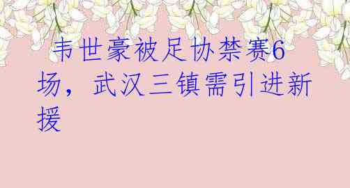  韦世豪被足协禁赛6场，武汉三镇需引进新援 