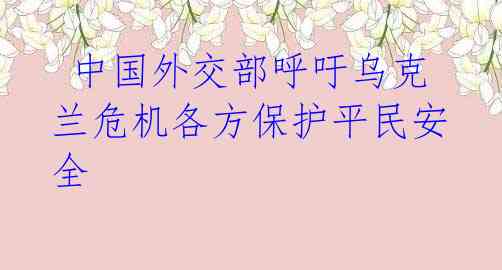中国外交部呼吁乌克兰危机各方保护平民安全
