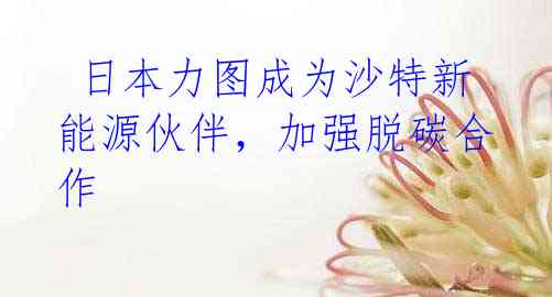 日本力图成为沙特新能源伙伴,加强脱碳合作