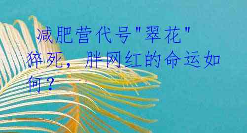 减肥营代号"翠花"猝死,胖网红的命运如何?