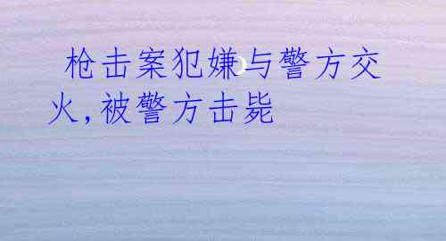 枪击案犯嫌与警方交火,被警方击毙