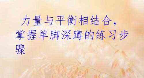 力量与平衡相结合,掌握单脚深蹲的练习步骤
