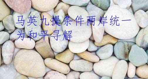 马英九提条件两岸统一 为和平寻解