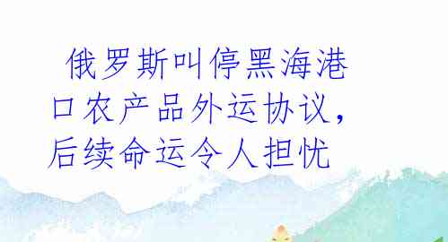  俄罗斯叫停黑海港口农产品外运协议，后续命运令人担忧 