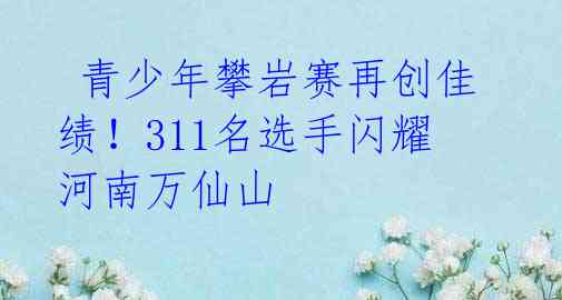 青少年攀岩赛再创佳绩!311名选手闪耀河南万仙山