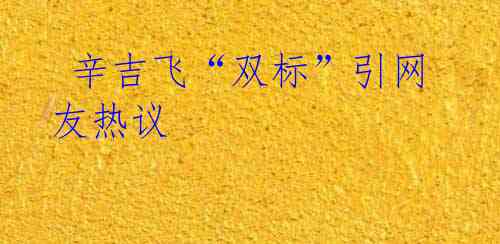 辛吉飞“双标”引网友热议