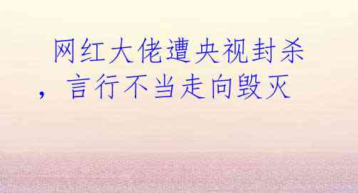 网红大佬遭央视封杀,言行不当走向毁灭