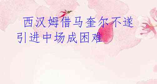 西汉姆借马奎尔不遂 引进中场成困难