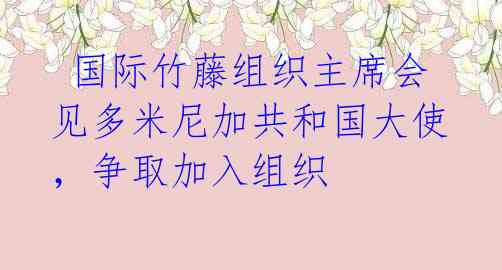  国际竹藤组织主席会见多米尼加共和国大使，争取加入组织 