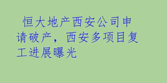  恒大地产西安公司申请破产，西安多项目复工进展曝光 