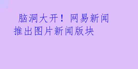 脑洞大开!网易新闻推出图片新闻版块