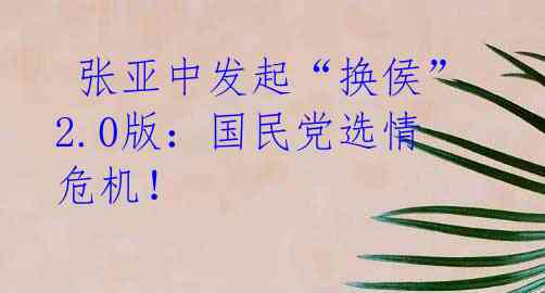 张亚中发起“换侯”2.0版:国民党选情危机!