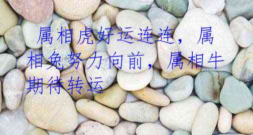 属相虎好运连连,属相兔努力向前,属相牛期待转运
