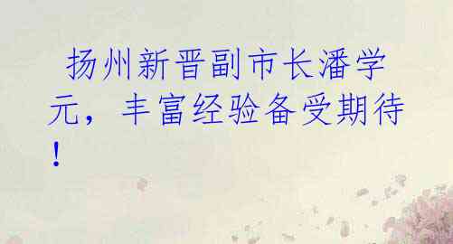 扬州新晋副市长潘学元,丰富经验备受期待!