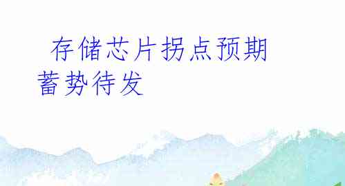 存储芯片拐点预期 蓄势待发