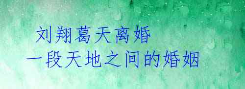 刘翔葛天离婚 一段天地之间的婚姻