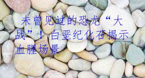 未曾见过的恐龙“大战”!白垩纪化石揭示血腥场景