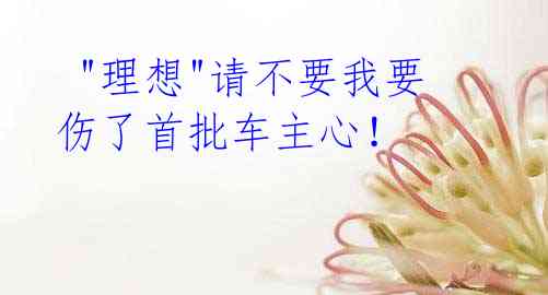 "理想"请不要我要伤了首批车主心!