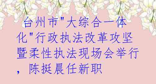 台州市"大综合一体化"行政执法改革攻坚暨柔性执法现场会举行,陈挺晨任新职