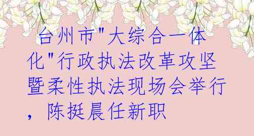  台州市"大综合一体化"行政执法改革攻坚暨柔性执法现场会举行，陈挺晨任新职 