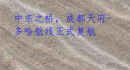 中东之桥,成都天府-多哈航线正式复航