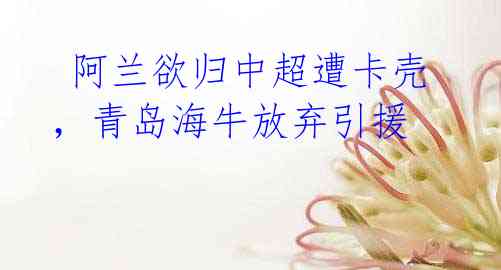 阿兰欲归中超遭卡壳,青岛海牛放弃引援