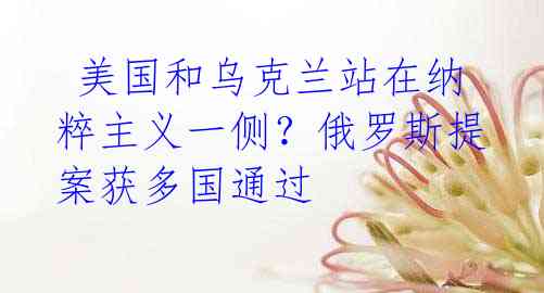  美国和乌克兰站在纳粹主义一侧？俄罗斯提案获多国通过