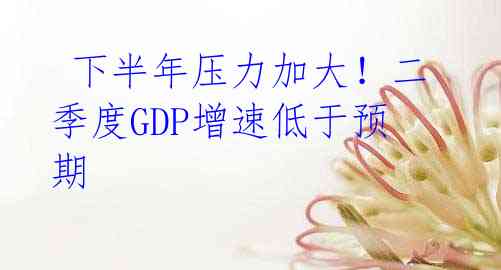 下半年压力加大!二季度GDP增速低于预期