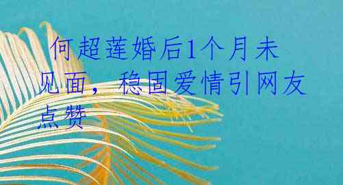  何超莲婚后1个月未见面，稳固爱情引网友点赞 