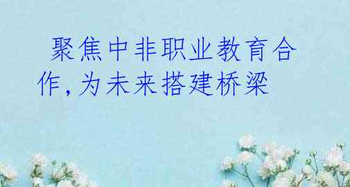 聚焦中非职业教育合作,为未来搭建桥梁